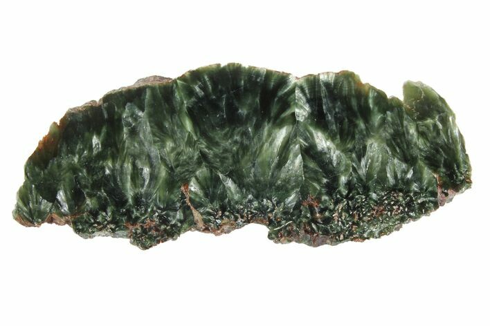 Polished Seraphinite Slab - Siberia #174849